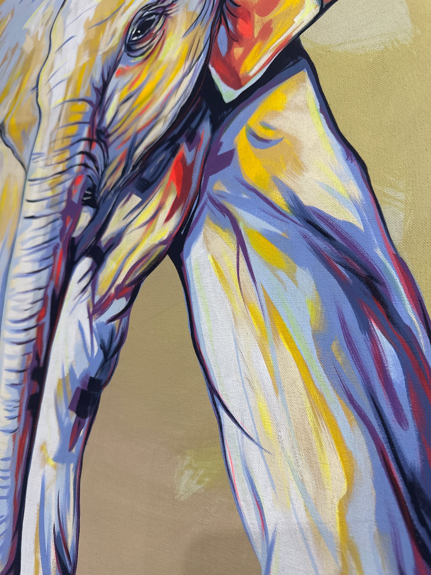 Obra Elefante (120x90cm)